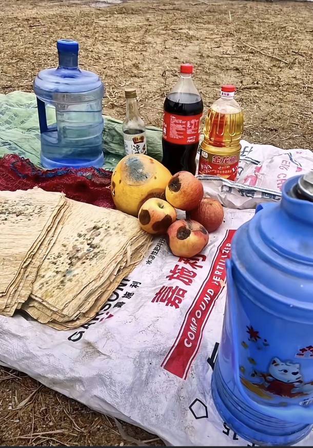 今天天气不错，约了几个老哥出来露营，好久没露营了，水果都有点变样了

40 / 作者:卡农人才济氵齐 / 