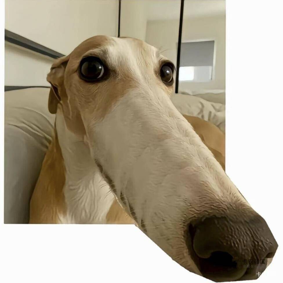 今晚是KFC社区

46 / 作者:情有独钟。 / 