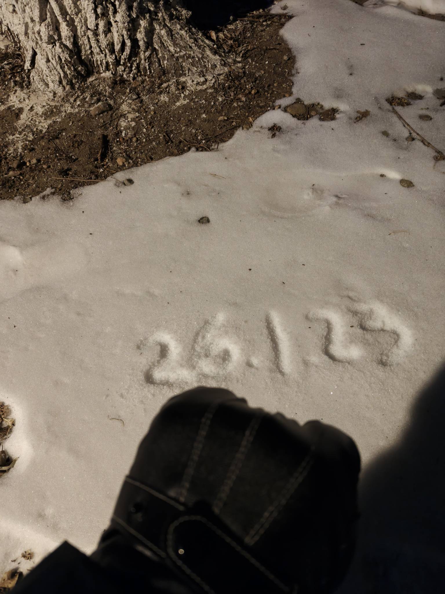 挂壁公园，今天还可以不算太冷



47 / 作者:番茄炒土豆 / 