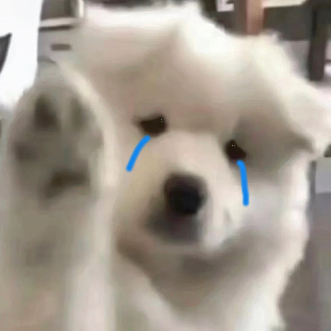 老哥们到底是咋定位的呀，真是力竭了搞几个小时没搞明白。这分身大师定位秋秋京通跳这23 / 作者:夜盼天明 / 