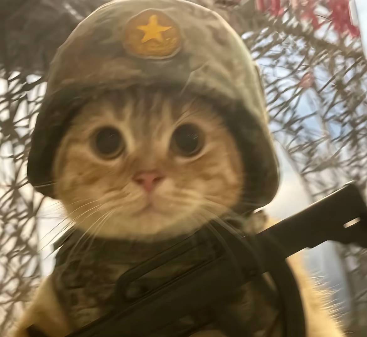 第一次领取京通怎么出吖用的微信，有没有好心人说说

29 / 作者:知了好不 / 