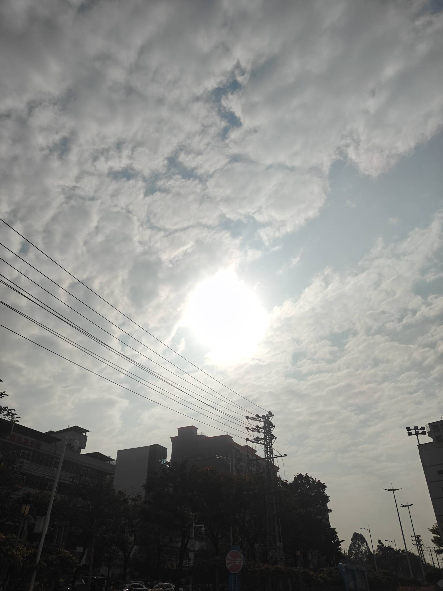 挂壁老哥活过来了，深圳出太阳了

24 / 作者:电竞经理回电 / 