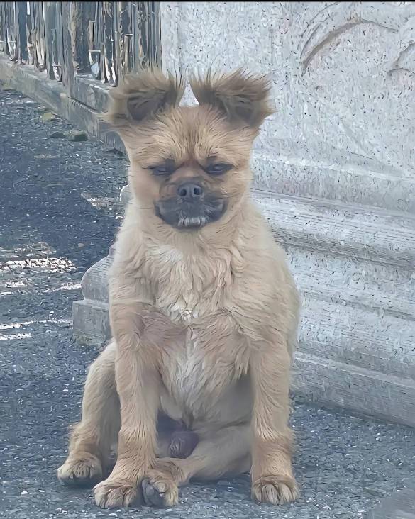 华林证券上午开的到现在都没动静，刚才打个电话催了下。也不知道今天能不能出资金号。1 / 作者:老哥好人有好鲍 / 