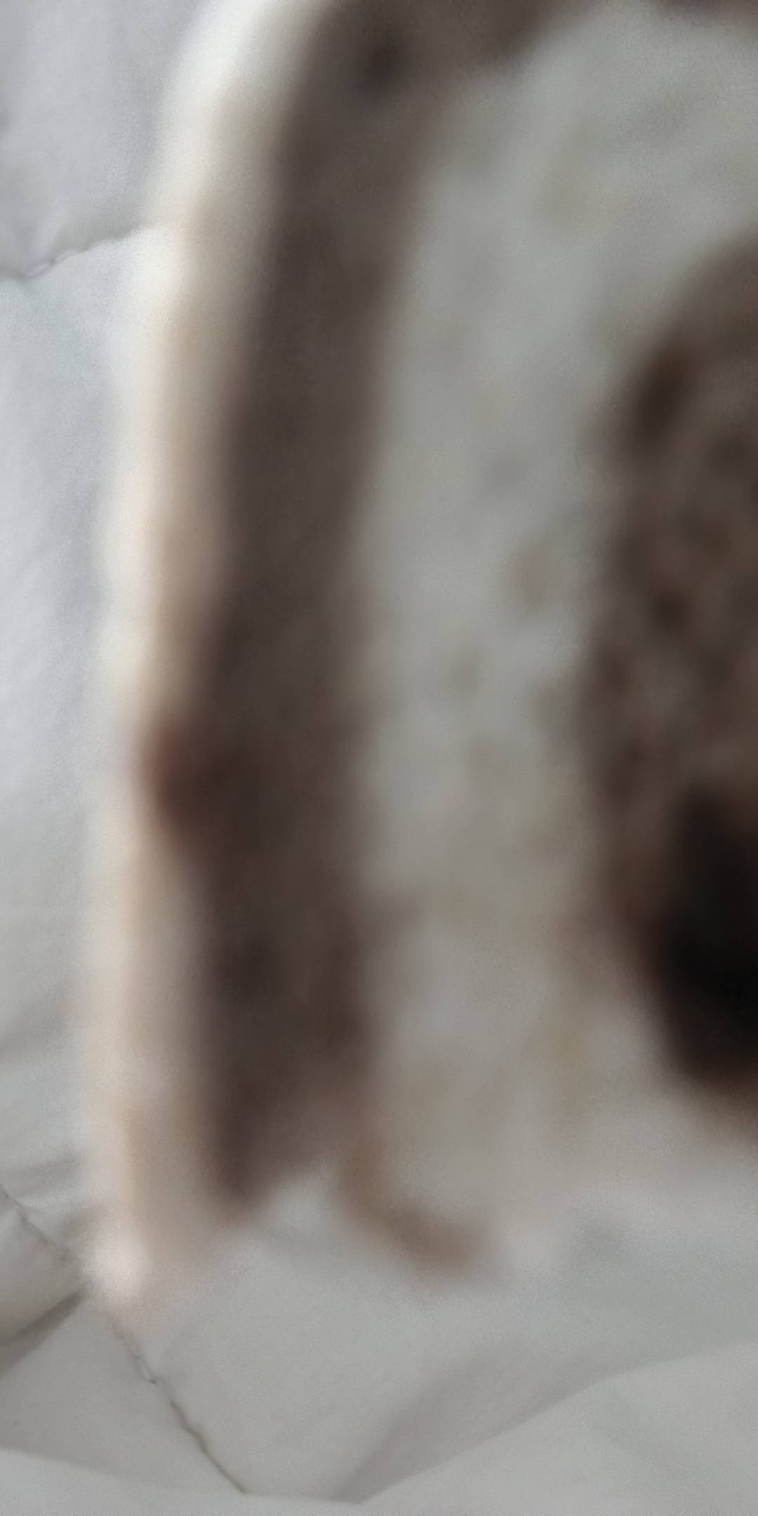 两情若是汉堡包，又岂在满汉全席

64 / 作者:无限星空 / 