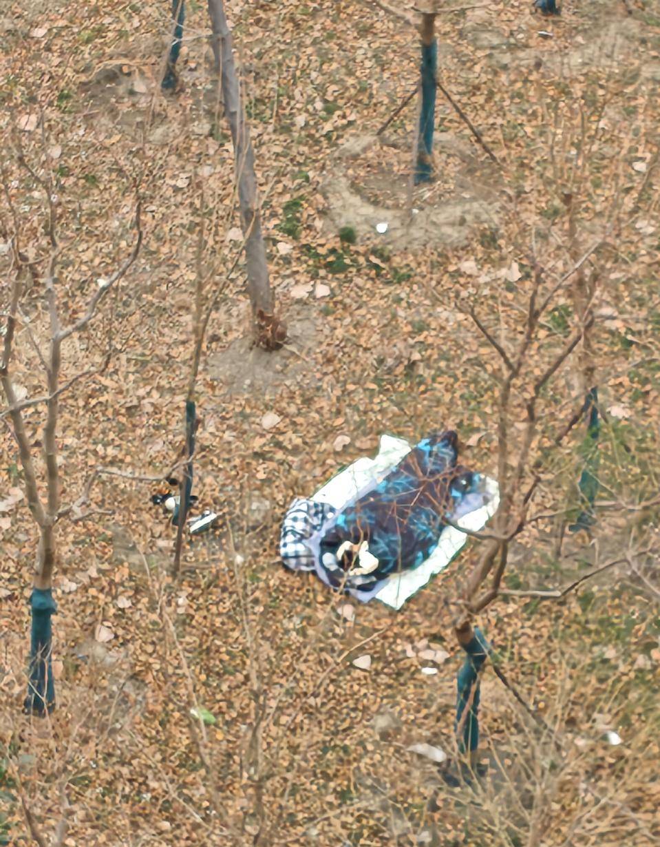 老哥们有没有毛，已经躺树林睡觉了，没地方住了


8 / 作者:憨小憨 / 