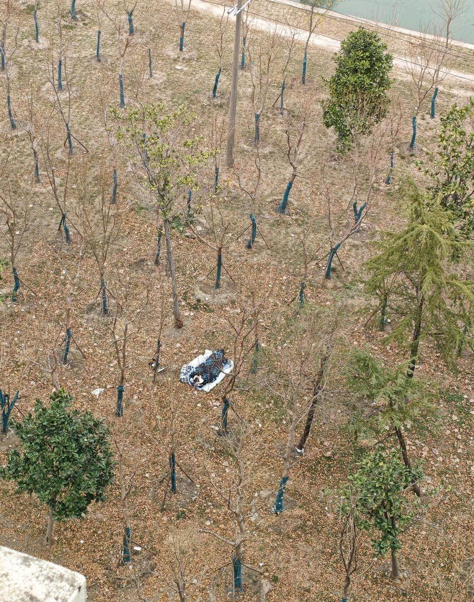 老哥们有没有毛，已经躺树林睡觉了，没地方住了


21 / 作者:憨小憨 / 