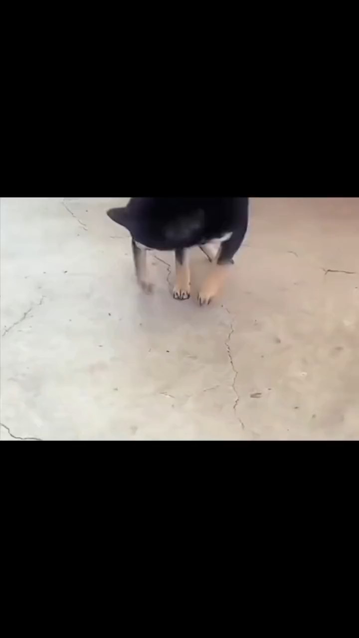 老哥们记得吃饭

23 / 作者:随缘7777777 / 