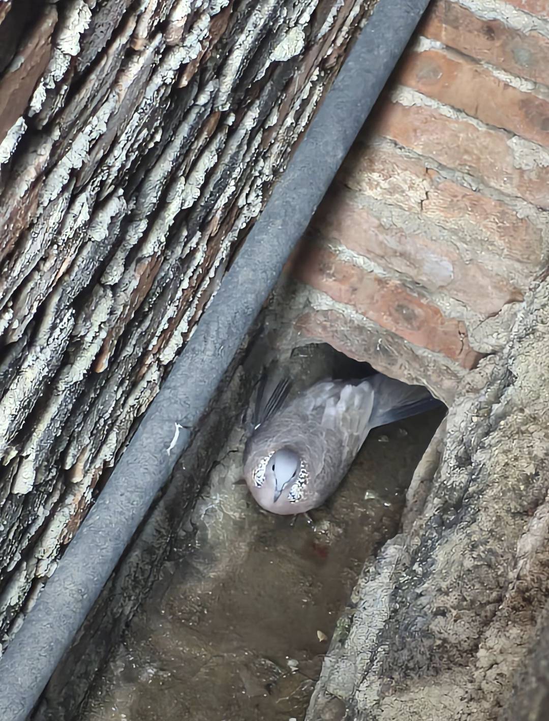 这是啥，怎么自动送过来了

18 / 作者:每一段路丶 / 