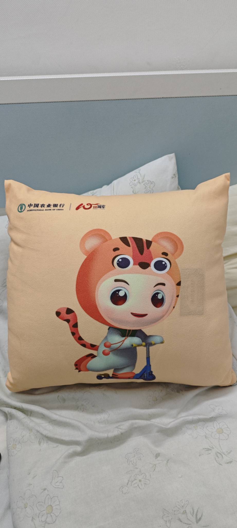 认识这个抱枕的，在老农至少申请了万把块羊毛

42 / 作者:卡农豆包 / 