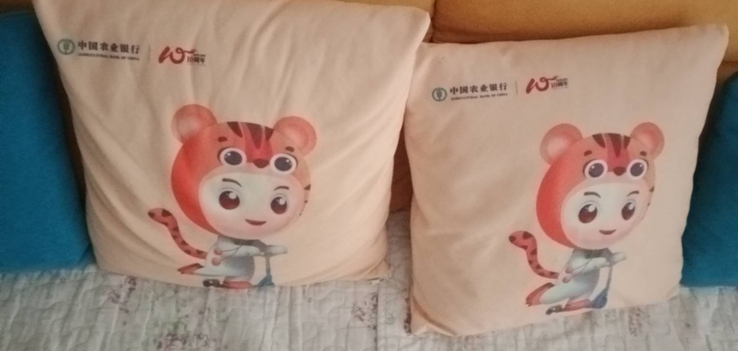 认识这个抱枕的，在老农至少申请了万把块羊毛

67 / 作者:霸天hh / 