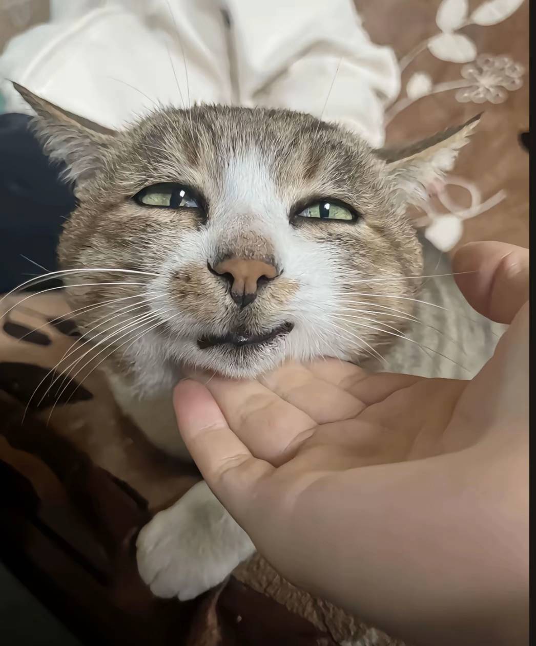 不是什么年代了还对国内足球抱有希望

2 / 作者:爱吃猪脚饭 / 