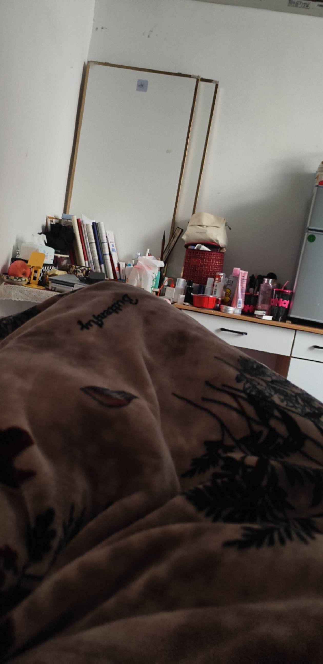 我又要开始了，有人在颤抖，大地动摇吧！
今天我必须要进账2000，不然，没法吃喝玩乐
100 / 作者:昨日过往 / 