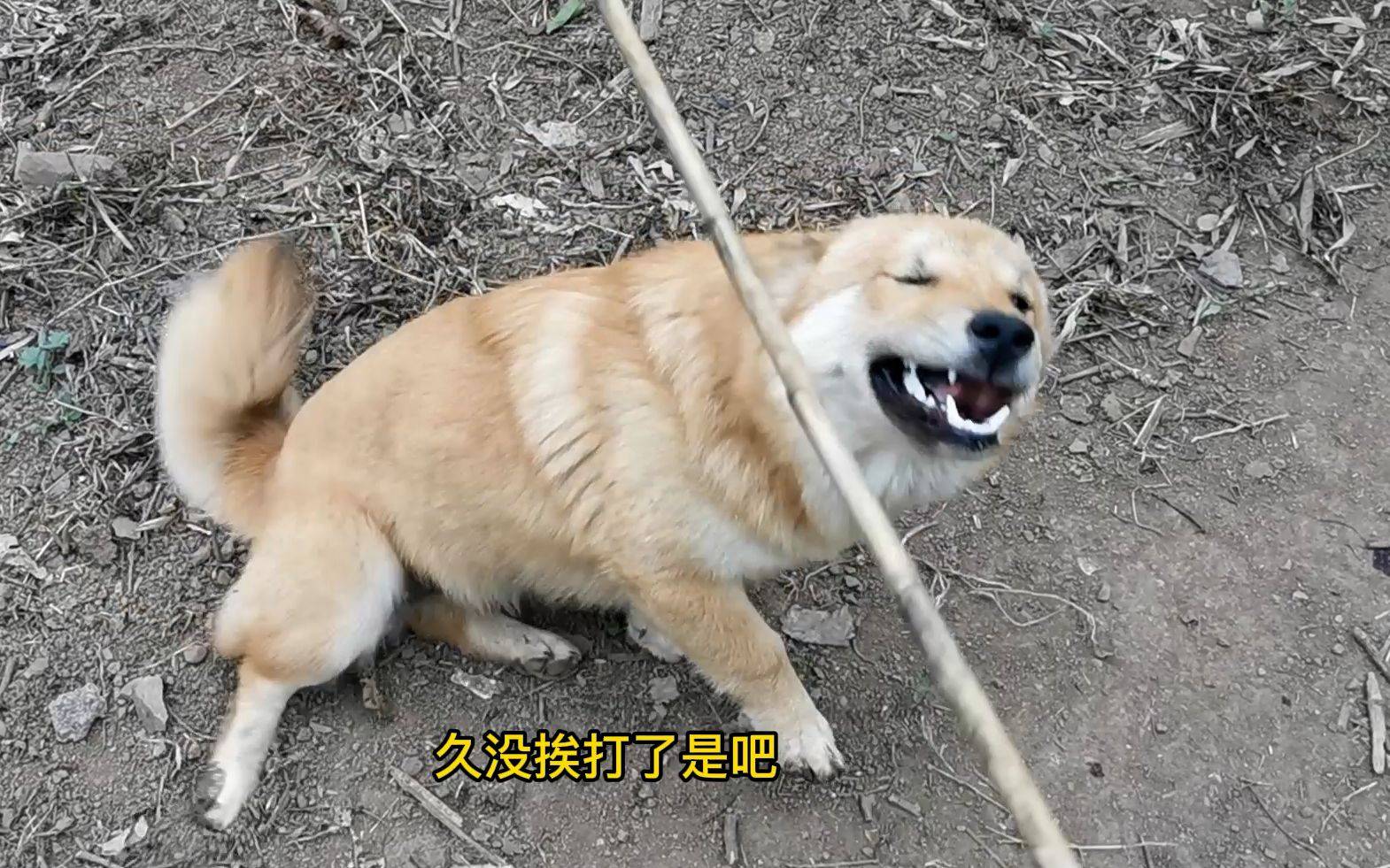 能不能别再发贷款了，一群小白兔假老哥，刷了两天了，到隔壁贷款区发阿

5 / 作者:祁同伟 / 