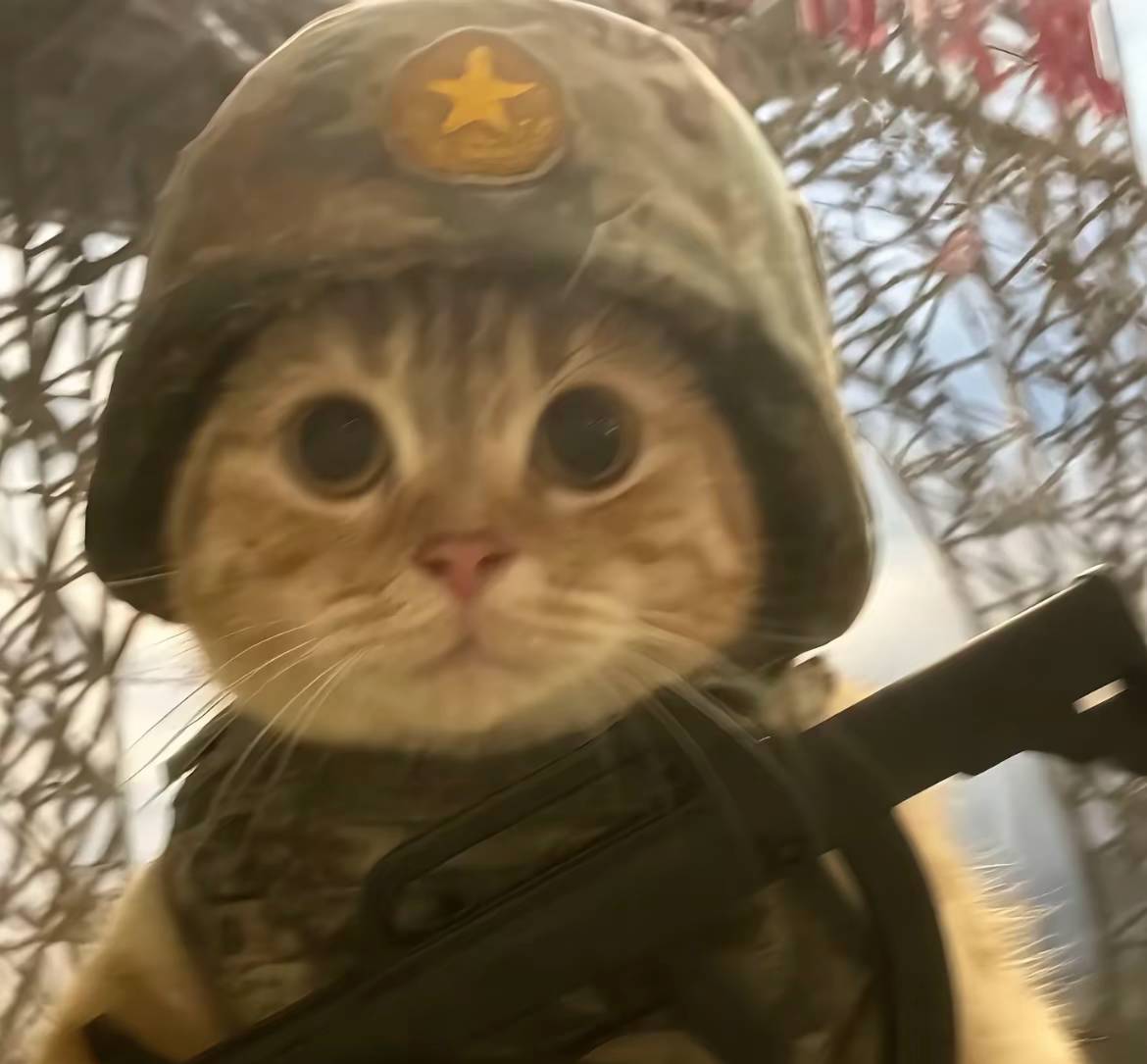 京通出要多少天？怎么两天了还没有动静了是买家根本还没有下订单？

97 / 作者:知了好不 / 