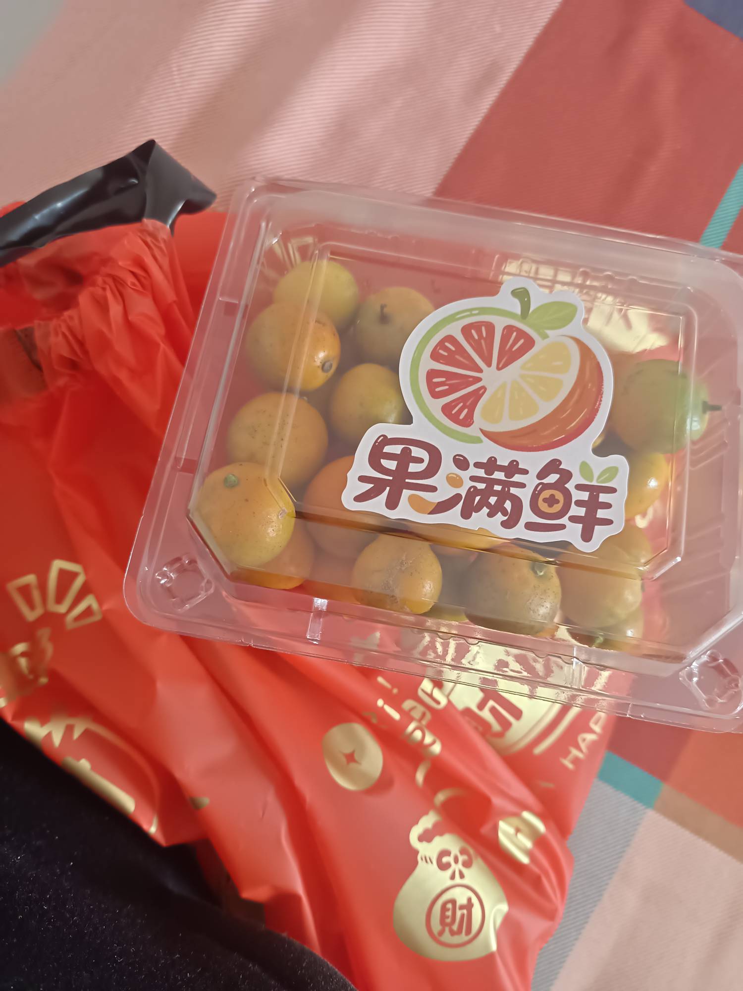 这是橘子吗  擦了还没个枣大


32 / 作者:莪吥〆会输の / 