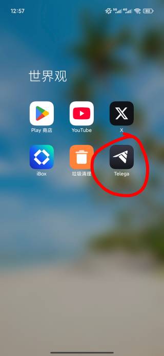 飞机要收费收不到验证码的，直接下载俄罗斯版本就行了

33 / 作者:梦回大唐做王爷 / 