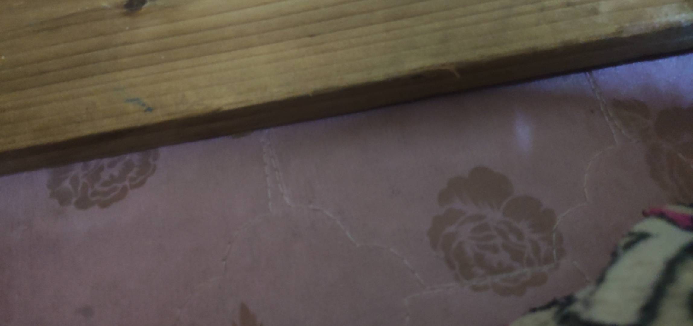 硬床板到底对腰好不好啊，我敲你哇的怎么越睡越严重93 / 作者:云边有个萧楚楠 / 