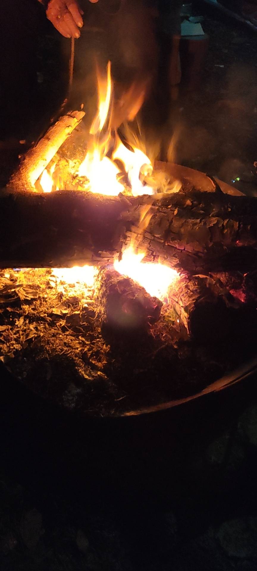 
唉~准备身无分文露宿街头了，赌狗没有好下场，今年可能又回不去了这样的日子真的一眼36 / 作者:三山椿 / 