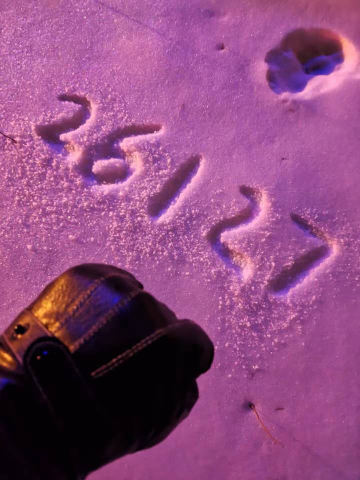 天气转暖，我这挂壁仔也好过了



81 / 作者:番茄炒土豆 / 