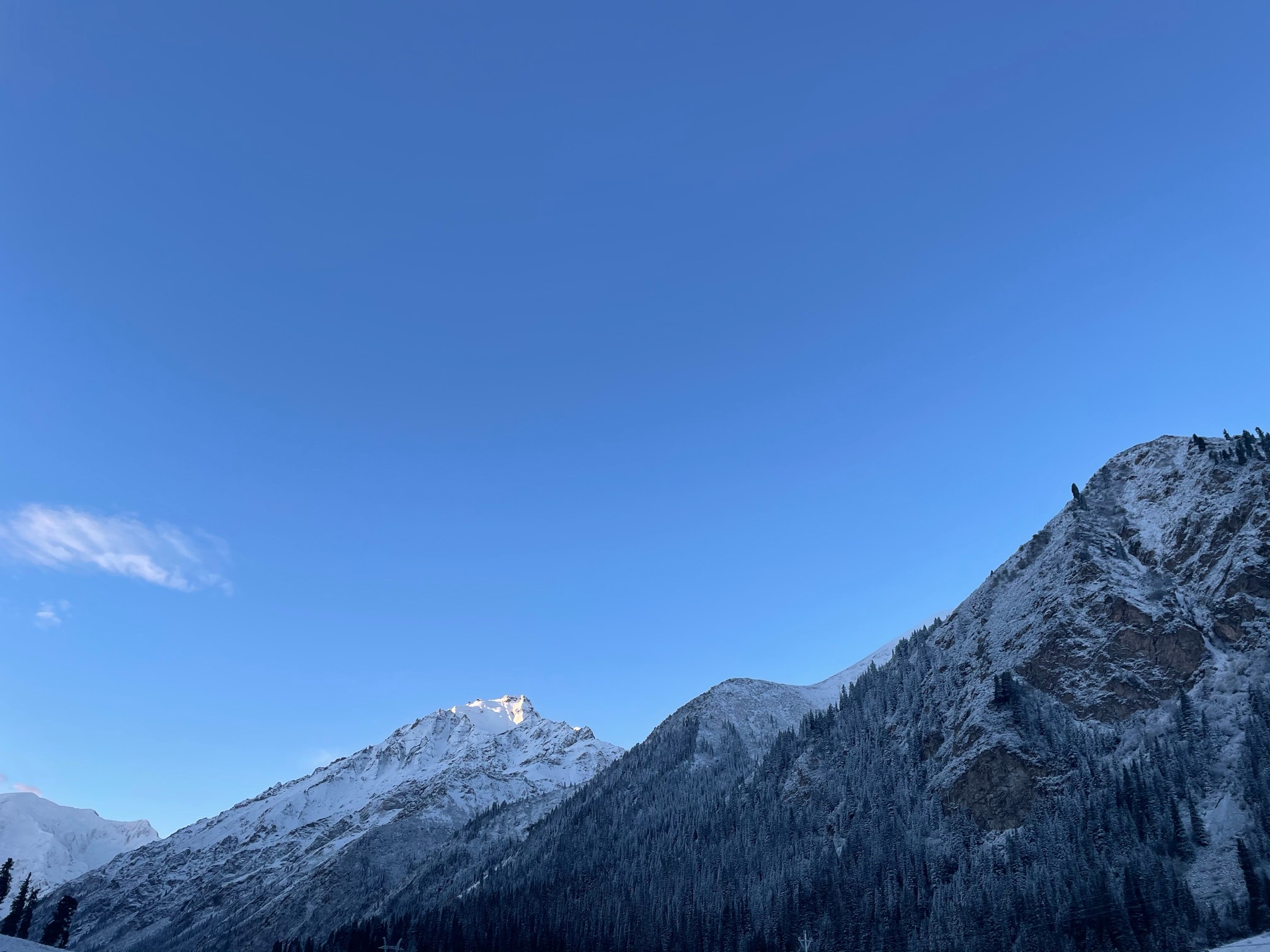 大哥们，我刚才查了下我农行绑定的证券，为什么国投证券绑了两次啊？还浪费我一次机会18 / 作者:浮生若梦， / 