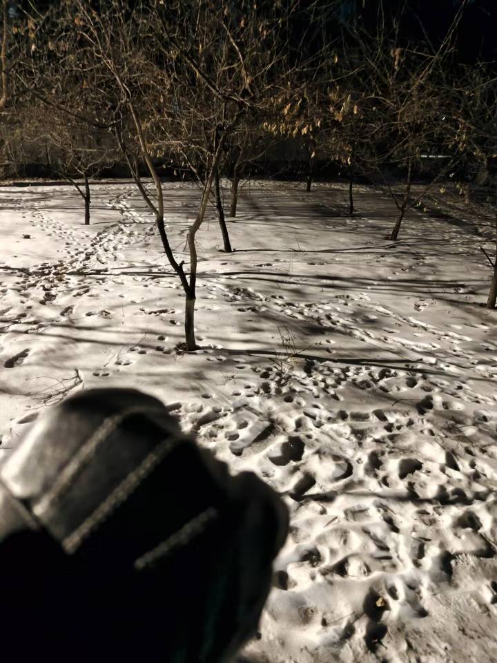 今天降温了，冻的我这个挂壁仔直打摆子，真羡慕你们啊



43 / 作者:番茄炒土豆 / 