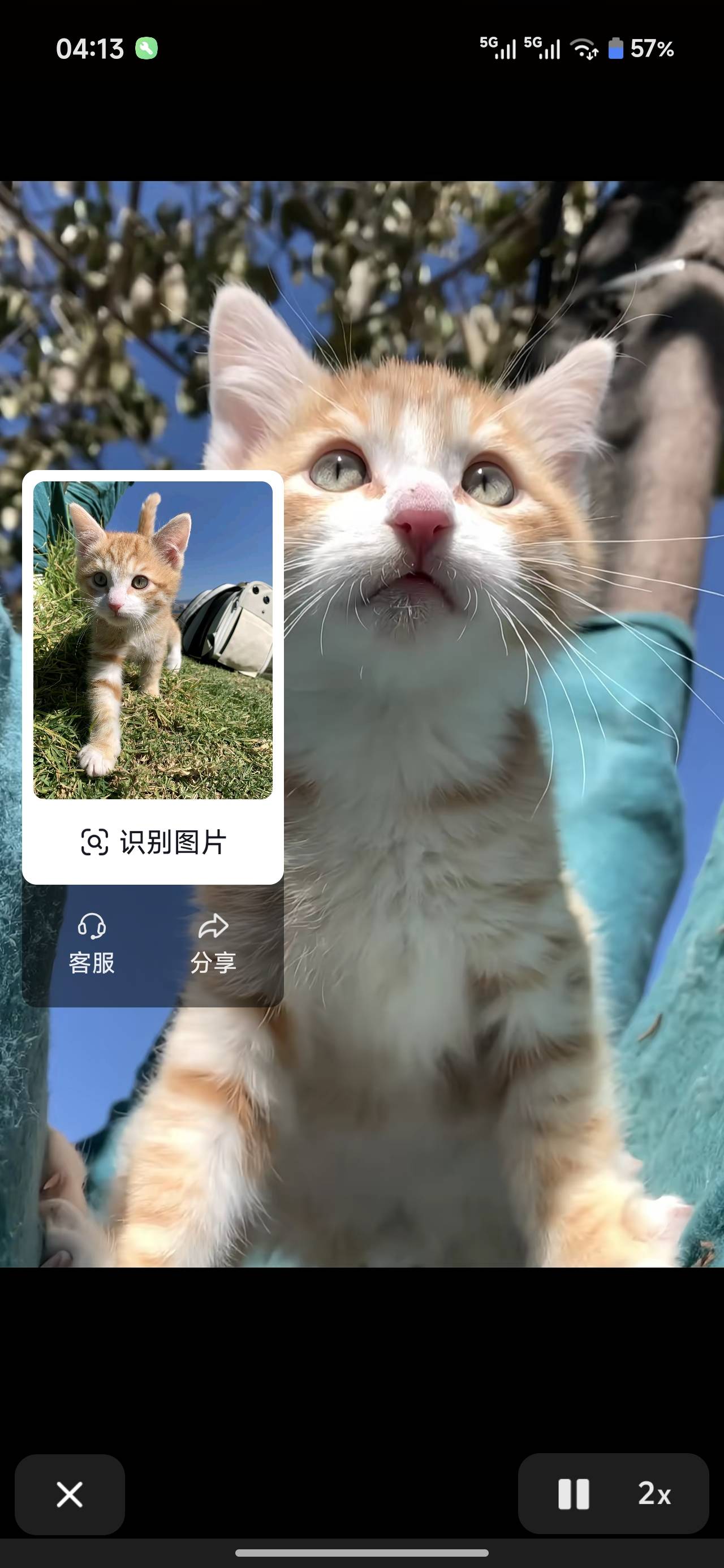 今天是忏悔社区

28 / 作者:苦难yt / 