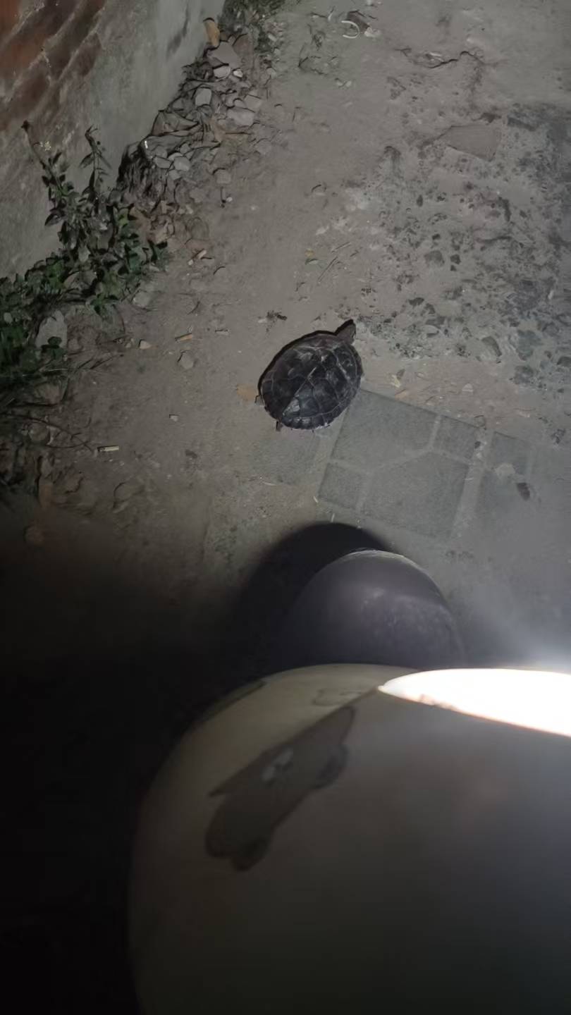 老哥们运气好哦，大半夜送外卖还能捡到好东西

49 / 作者:挂比了救我鸭 / 