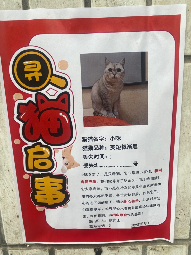 这只猫我在我们小区楼下发现了几次了晚上出门买东西就能看见 可惜当时没注意寻猫启示27 / 作者:今天作业没毕业 / 