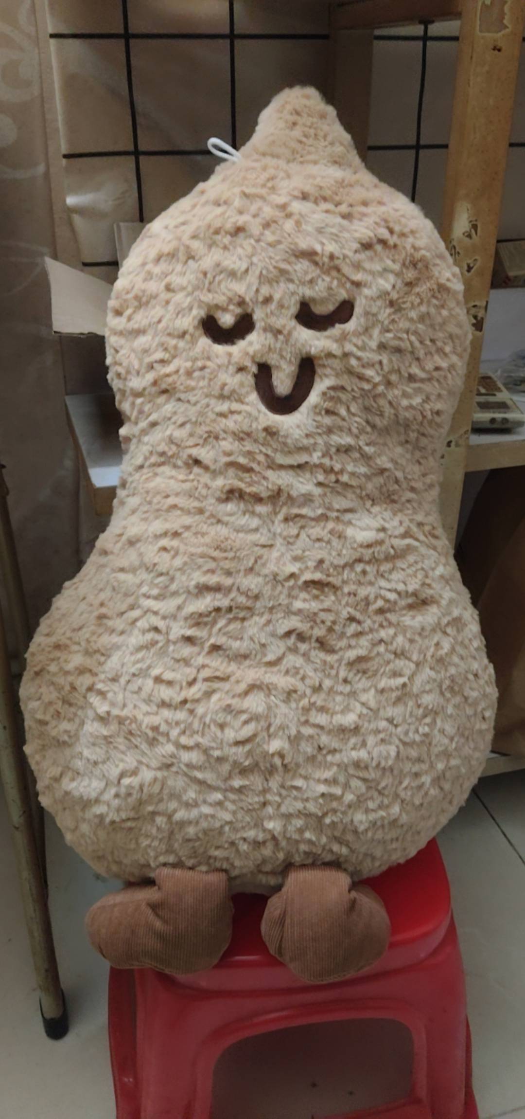 联想抽的那个盲盒到了，一个娃娃几个袋子

5 / 作者:无泪无心 / 