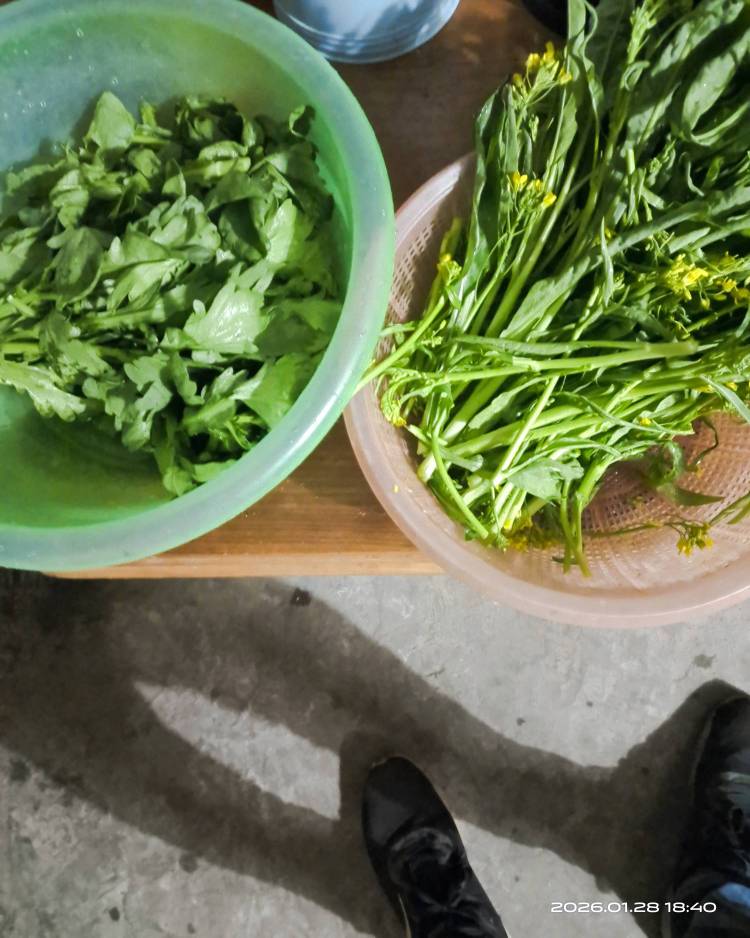 老哥们吃饭了


72 / 作者:挂壁哥 / 