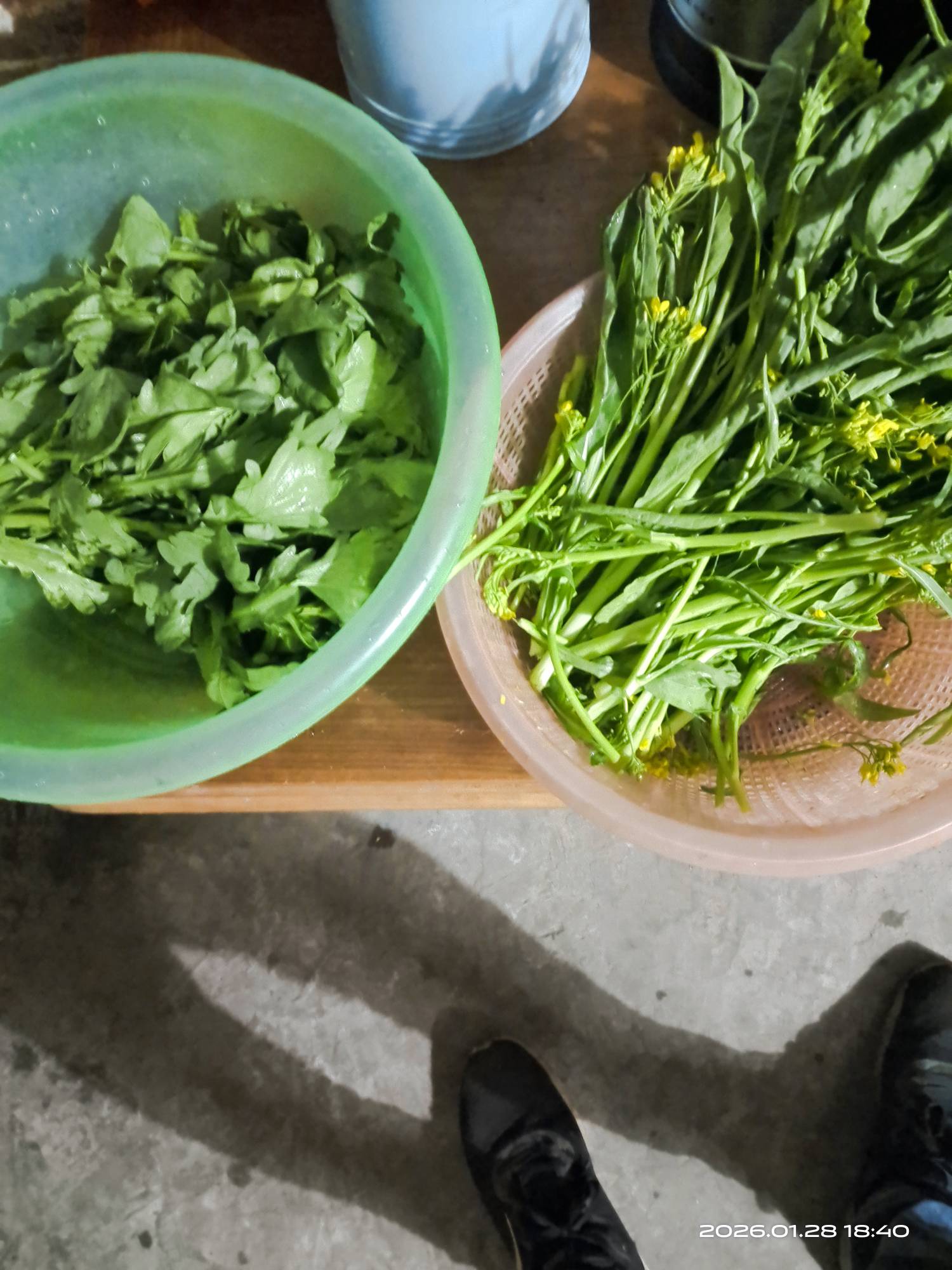 老哥们，救我，挂壁在老家一年了，只能买一条鱼＋一点自己种的蔬菜打火锅维持生活的样39 / 作者:挂壁哥 / 