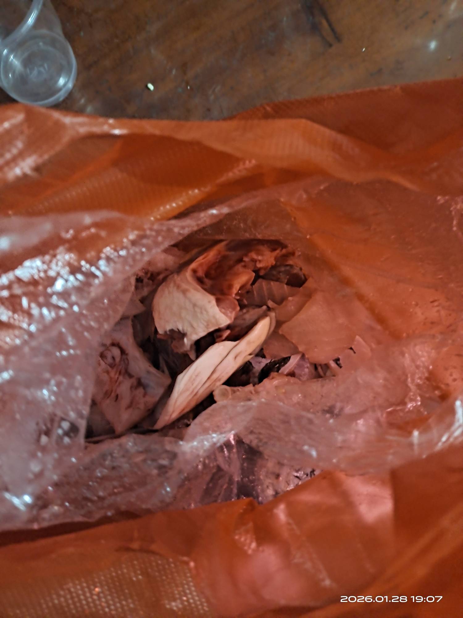 老哥们，救我，挂壁在老家一年了，只能买一条鱼＋一点自己种的蔬菜打火锅维持生活的样54 / 作者:挂壁哥 / 