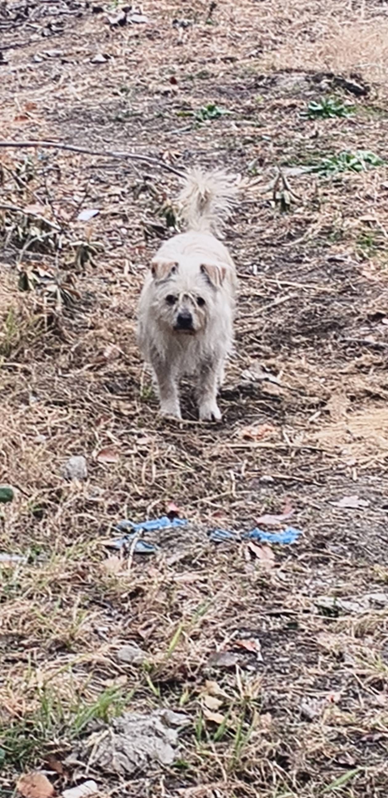 这个想，谁，卡农老哥，有像它的没！

77 / 作者:昨日过往 / 
