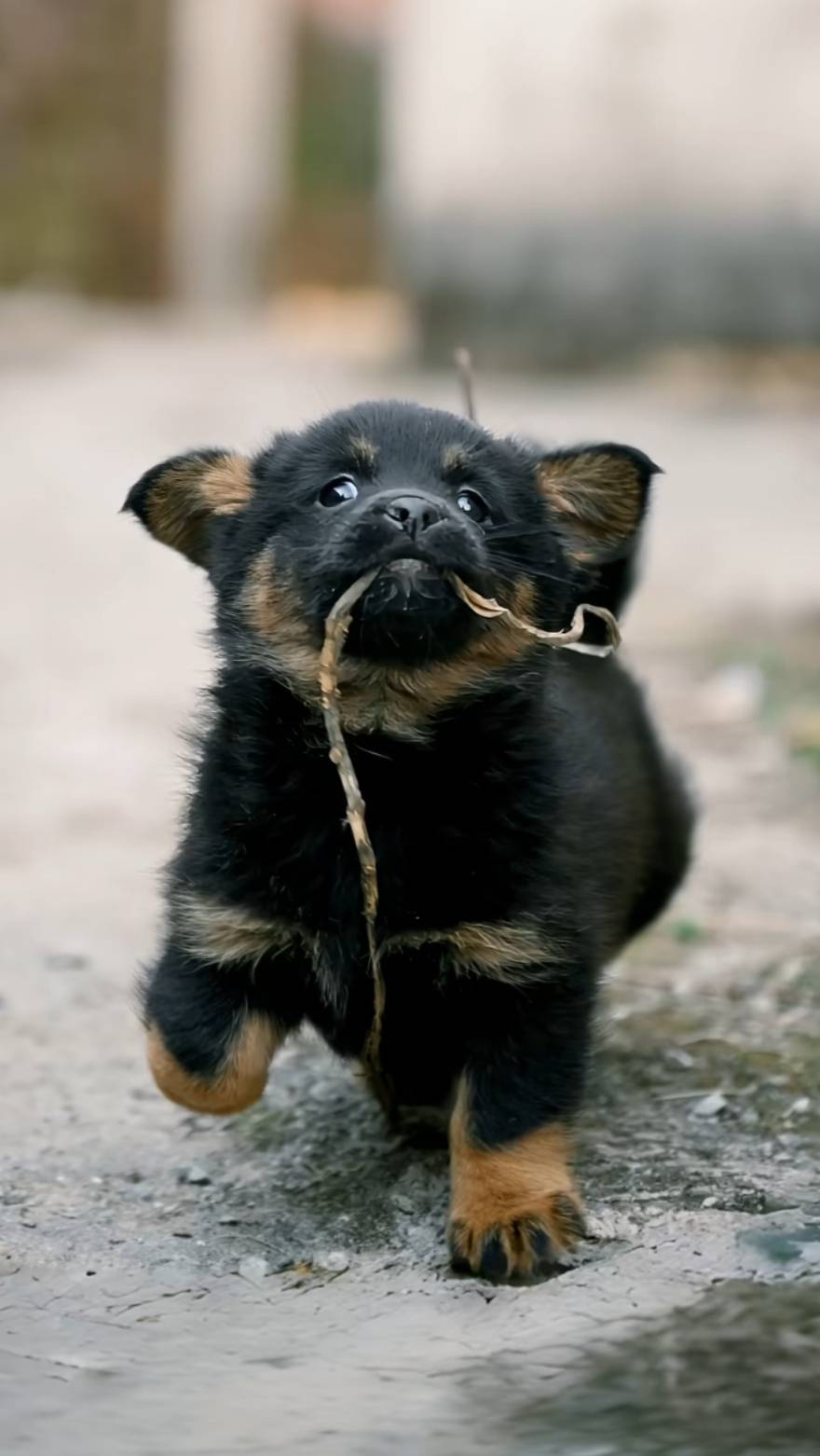 来个京东，饿了，要点外卖了

71 / 作者:s2t / 