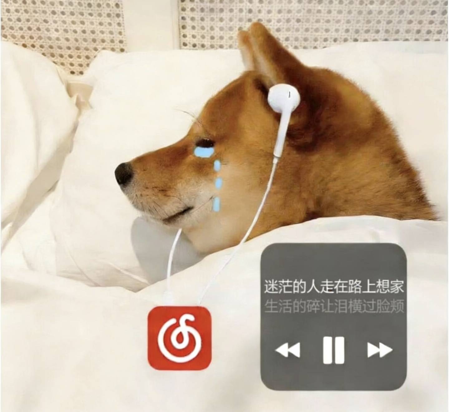 西楼儿女这歌词给老哥听伤感了

70 / 作者:功德圆满 / 