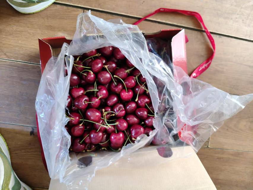 老哥们  现在车厘子便宜，自由，实现自由

23 / 作者:卡农小六子 / 