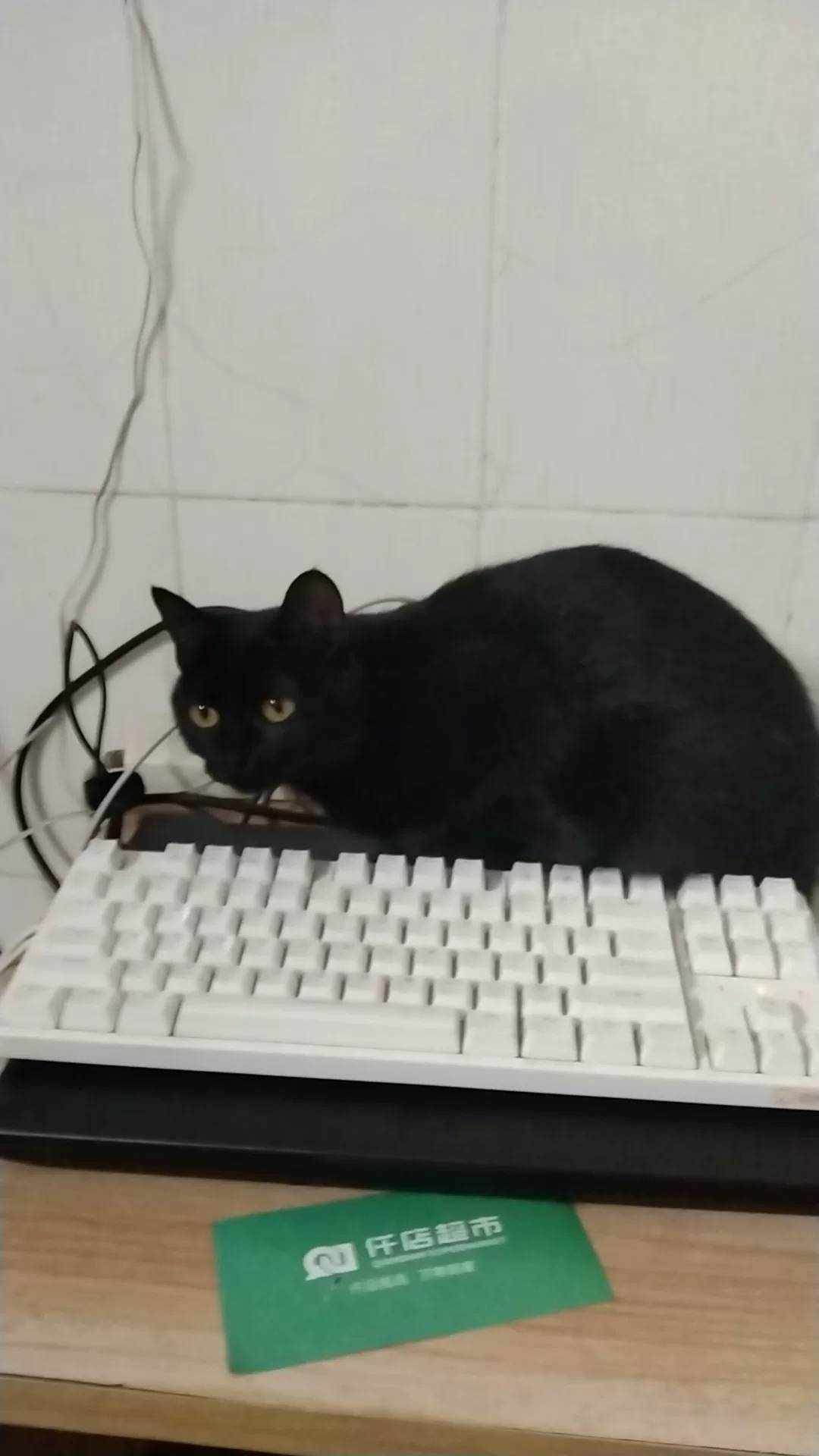 7出10电费
99 / 作者:莫得了吧 / 