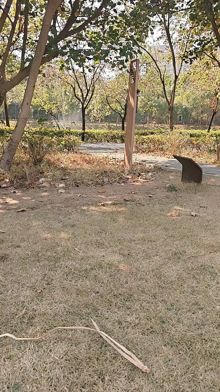 简直逆天，还有人教开营业执照的，我现在7张后悔都没地方哭

29 / 作者:电竞经理回电 / 