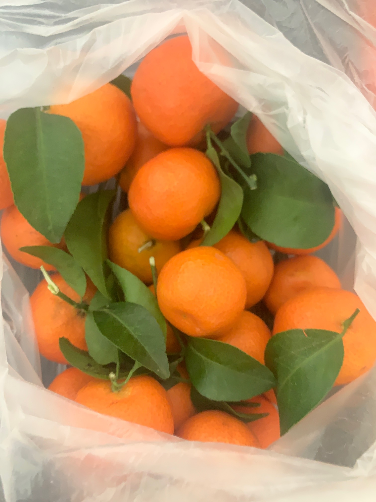 吃 老哥们一块钱买的



1 / 作者:小鬼是魔鬼 / 