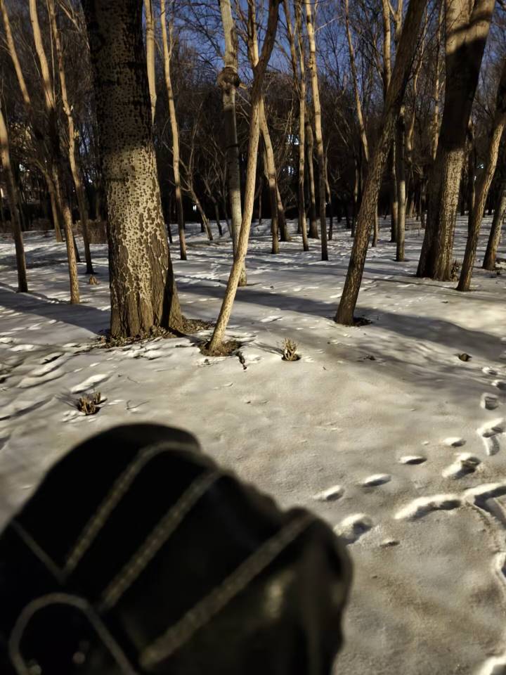 只能继续挂壁公园了，今天连挂壁房费都没申请到



59 / 作者:番茄炒土豆 / 