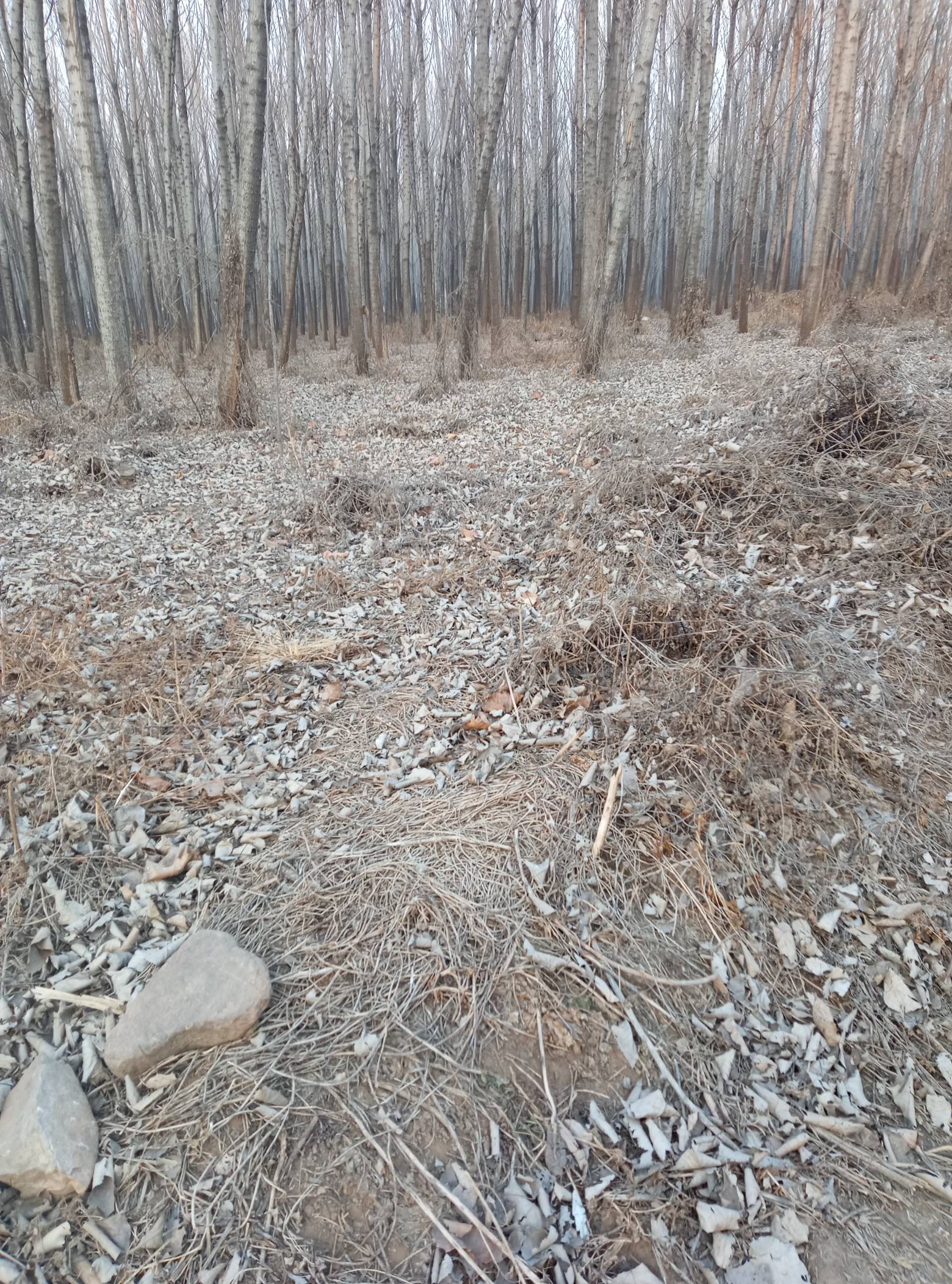 晚上胆小

43 / 作者:取个啥啊 / 