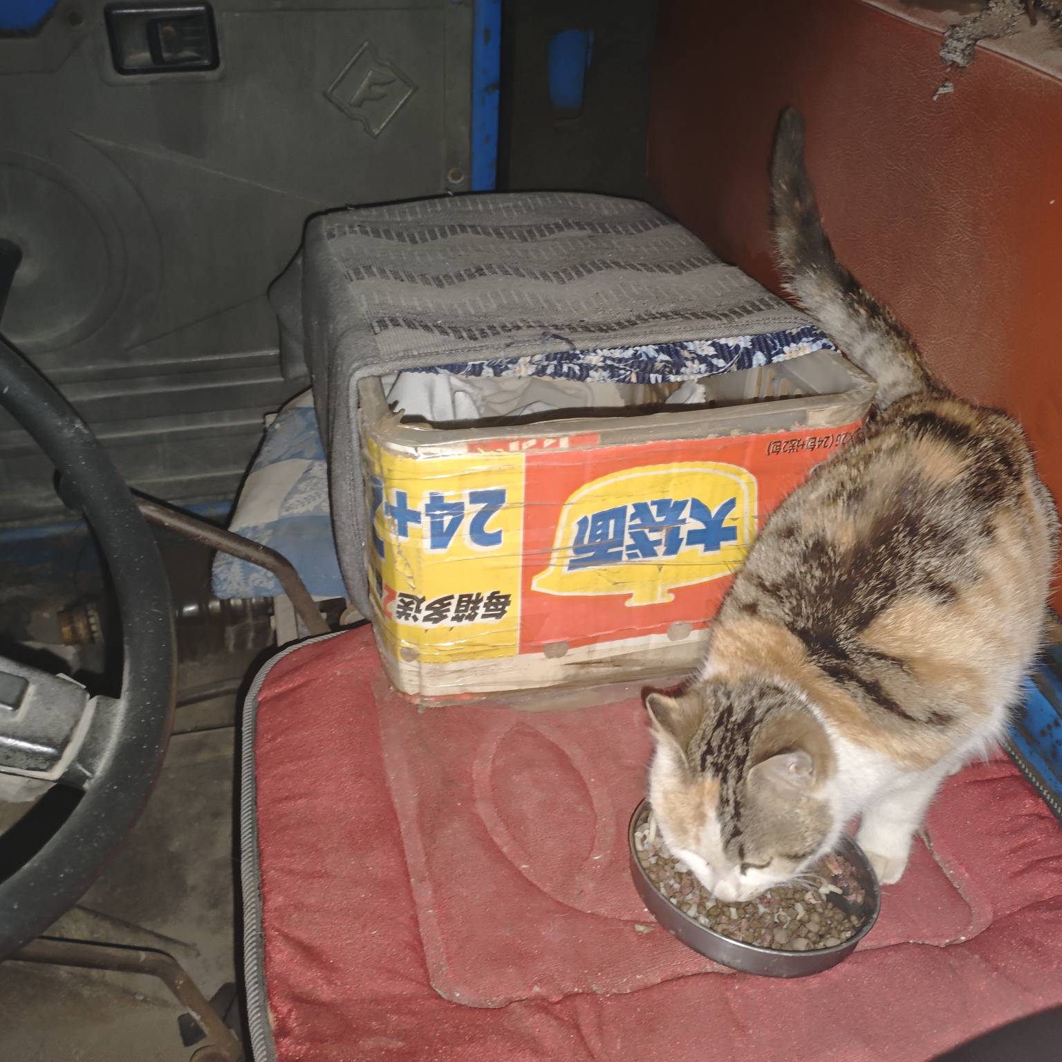 小猫这个家属于什么条件

12 / 作者:山西陈冠希 / 