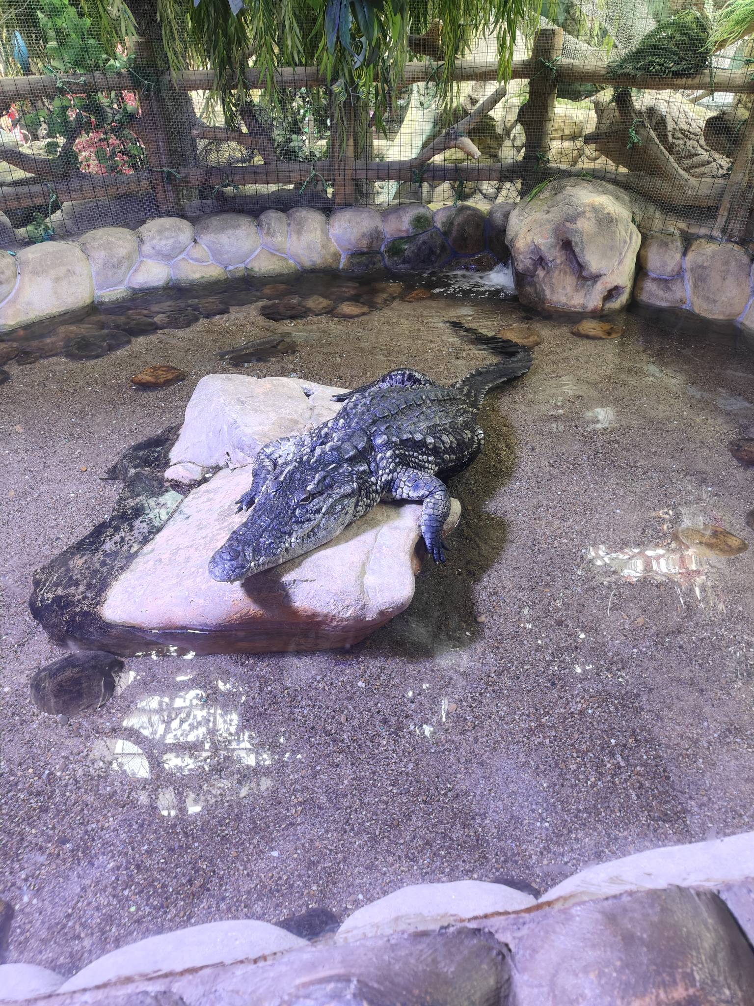 老哥们，哪里充话费有优惠，

9 / 作者:孤独的小松鼠 / 