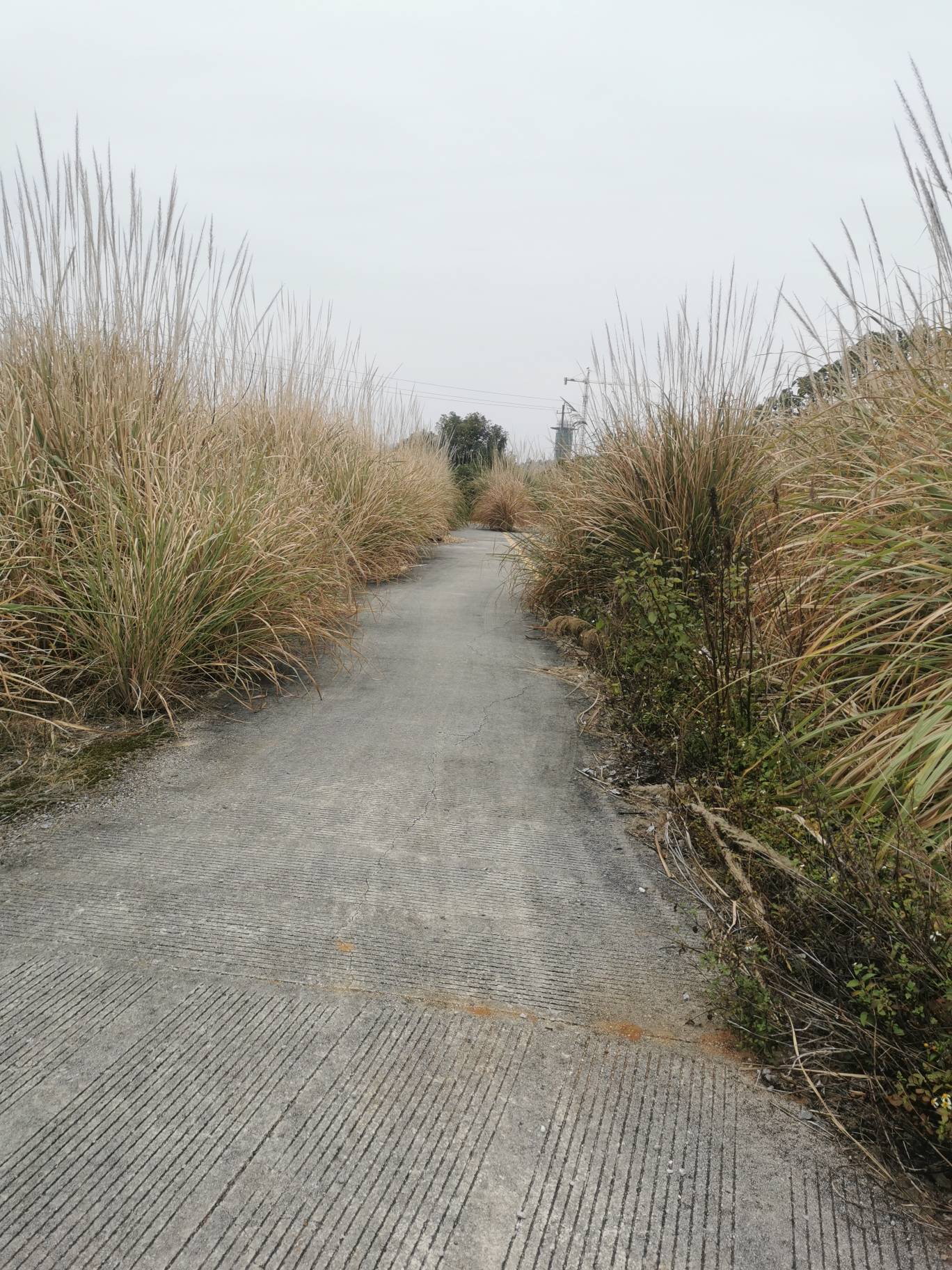 回家过年了，老哥们

68 / 作者:果然一道 / 