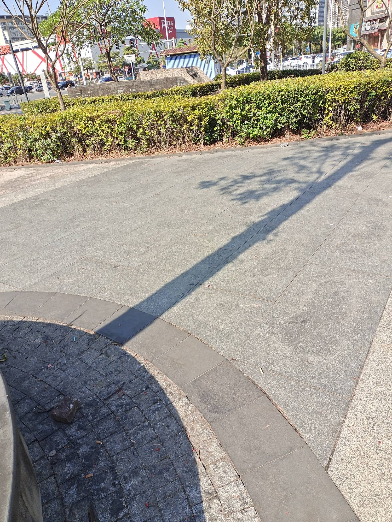 彻底瘫痪公园

81 / 作者:虾仁炒饭 / 