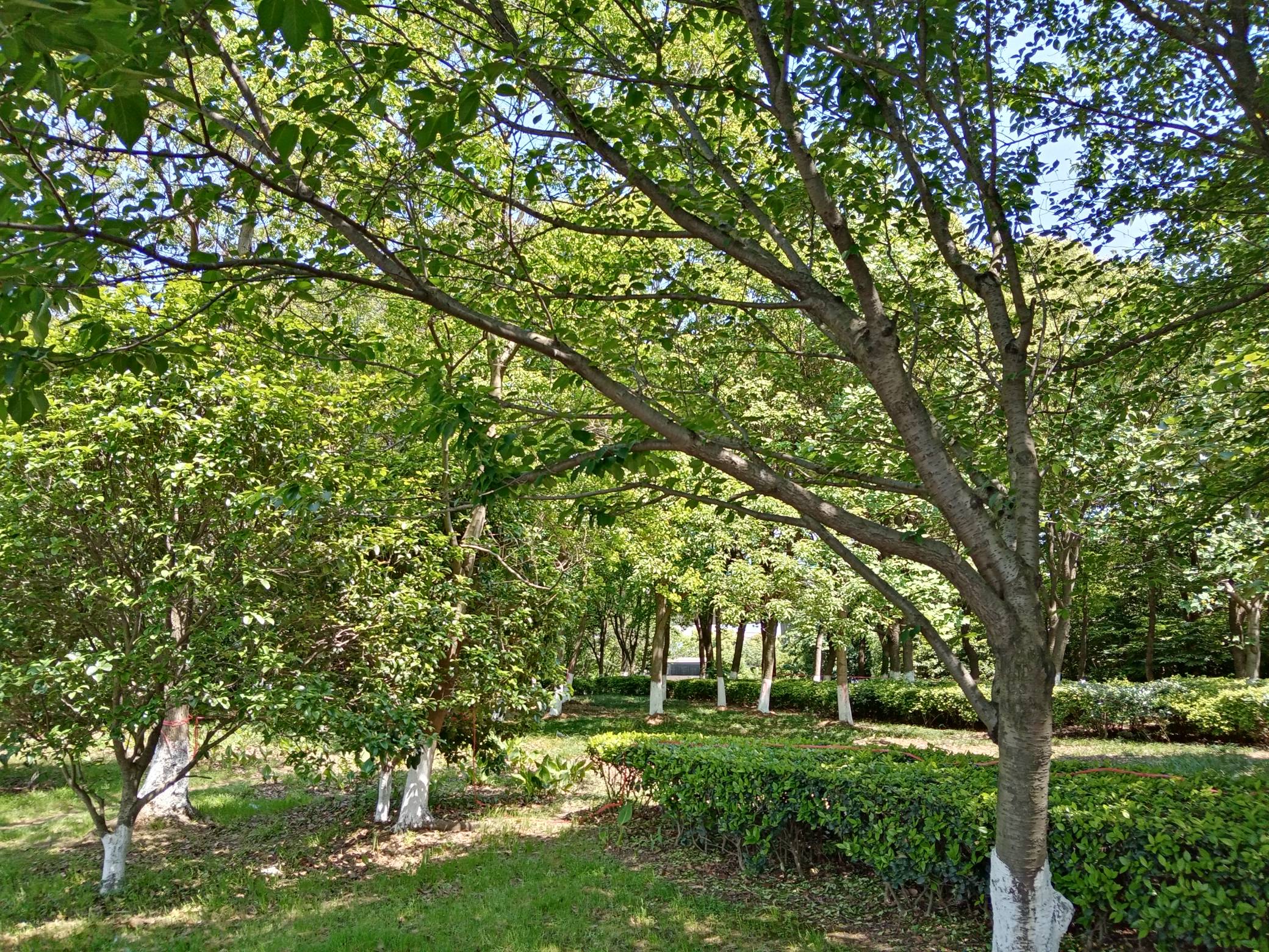 卡农有没有跟我一样的没家的老哥？每到过年就很无助

20 / 作者:挂壁仔等着吃饭 / 