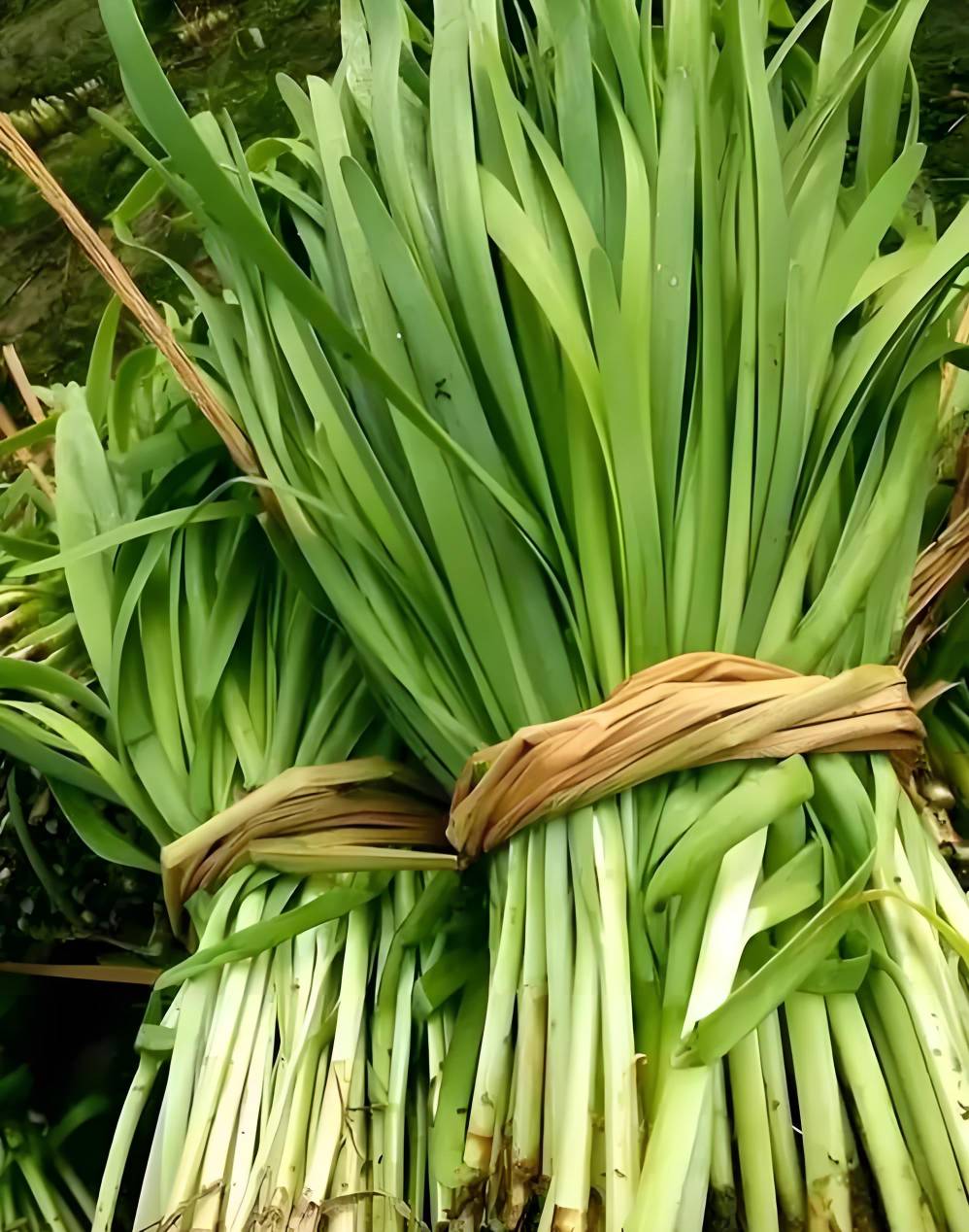 东兴我才弄1600的样子，我要赶紧弄了

1 / 作者:卡卡西农 / 