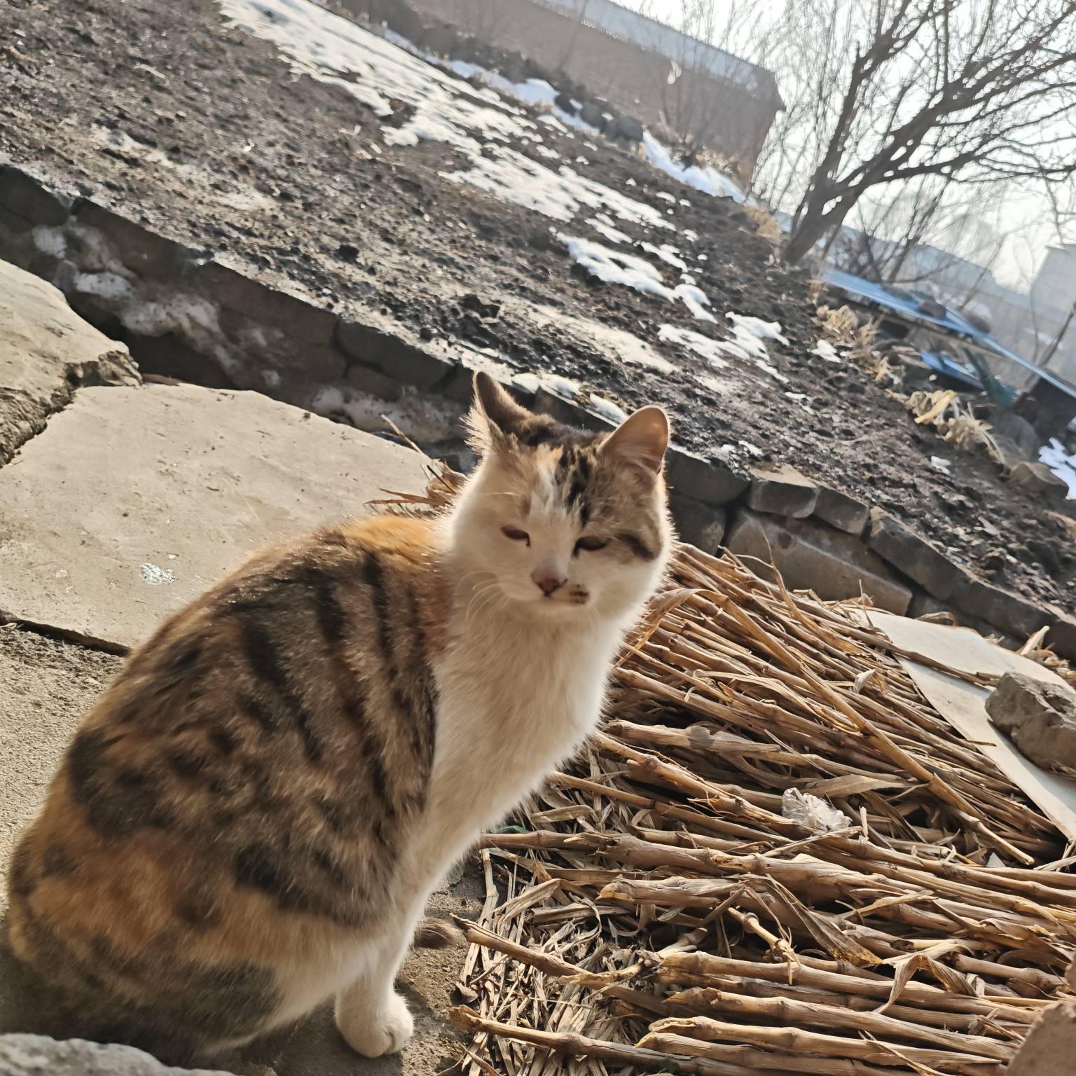 睡觉吧哈基米们

52 / 作者:山西陈冠希 / 