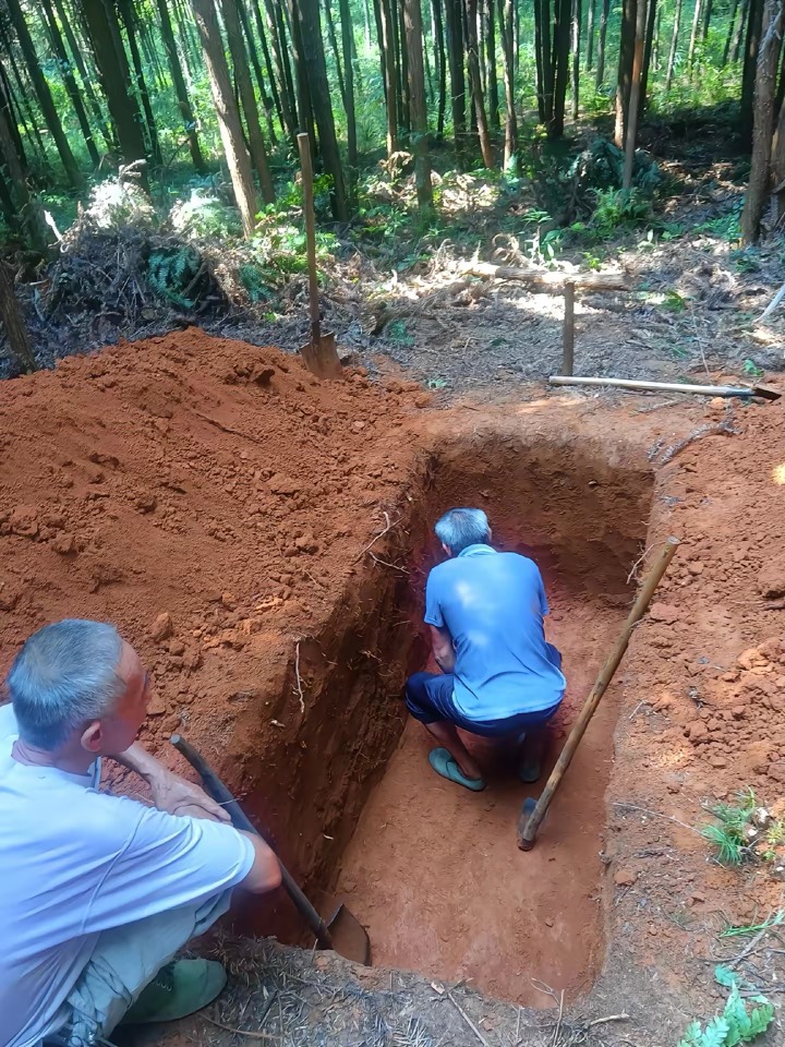 布鞋老苟这就，55555

37 / 作者:不知明的靓仔 / 