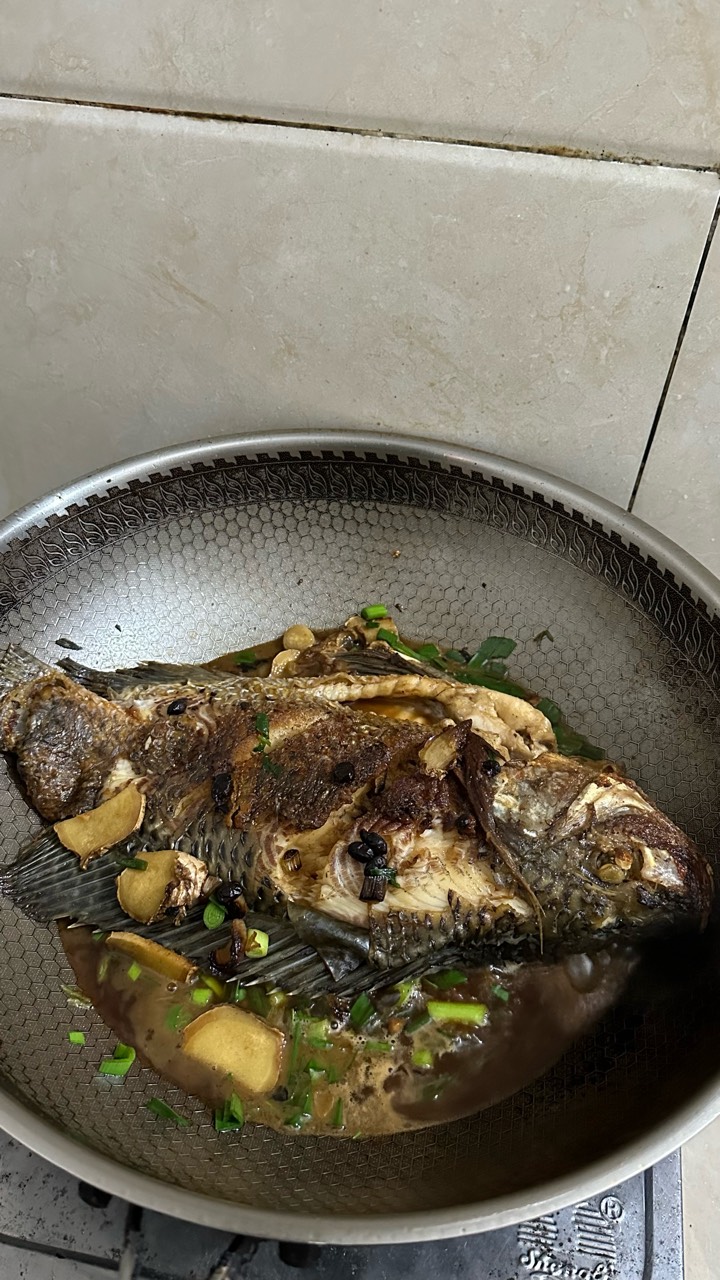 没到过年就啥急巴都贵了，这条小罗非20，平时也是10左右

65 / 作者:不知明的靓仔 / 